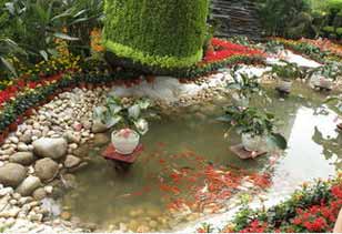 庭院中的池塘、泳池和喷泉风水