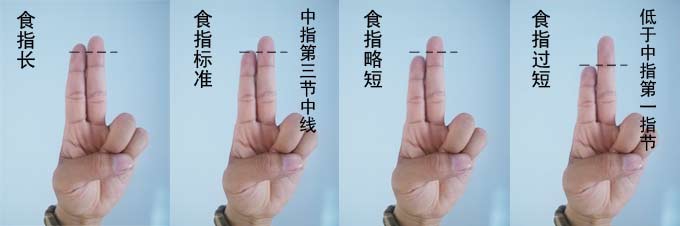 食指的手相
