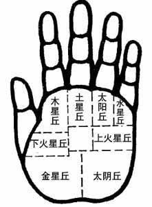 主丘的确定,八大掌丘手相介绍