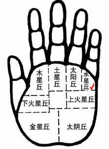 水星丘的手相
