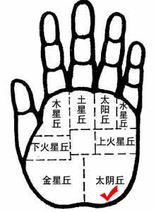 太阴丘的手相