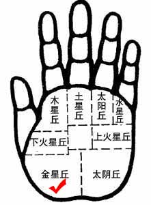 金星丘的手相