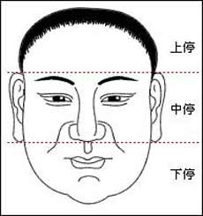 面相入门基础知识