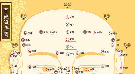 面相中的司空、中正——官禄宫的介绍